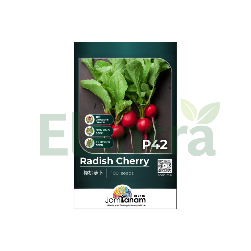 P42 RADISH CHERRY